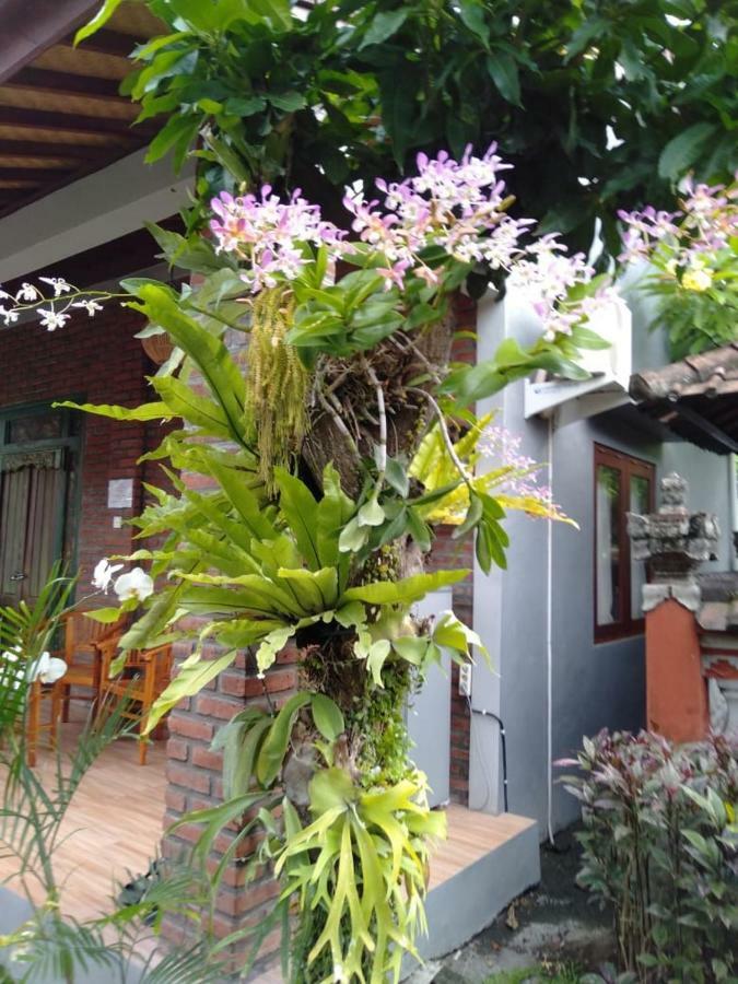 Twins Homestay Canggu Esterno foto